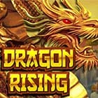 #Dragon Rising